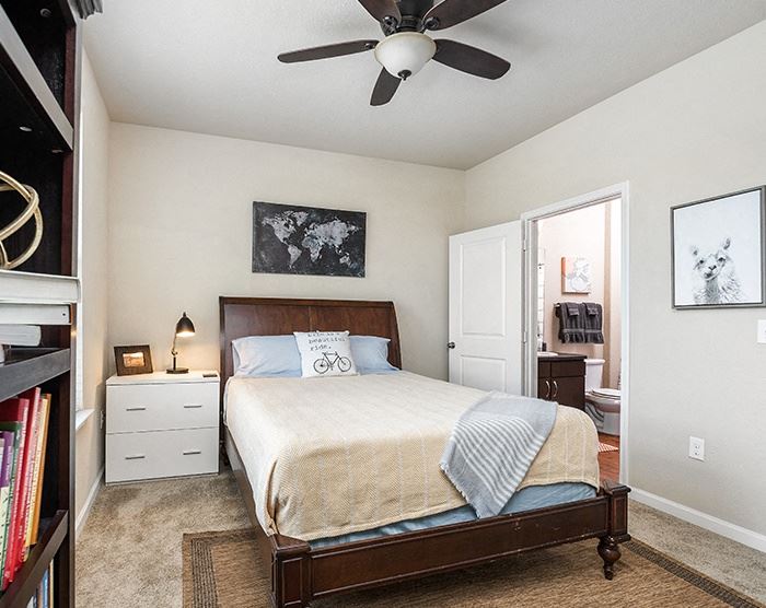 Reata At Alamo Ranch Apartments, 11211 Westwood Loop, San Antonio, TX